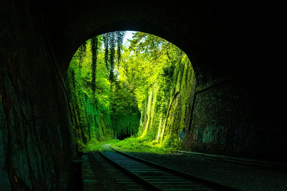 The Priory's Old Railway Line: A Beginner's Guide to the Disused Track
